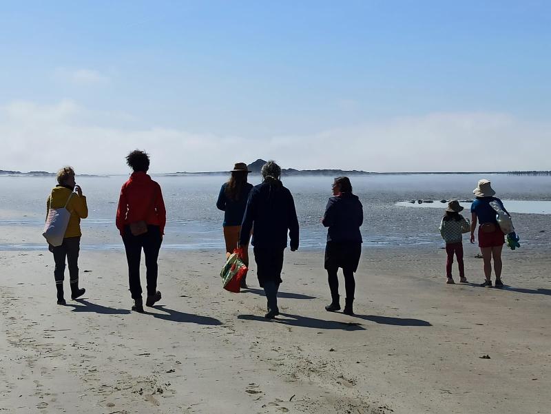 Balade découverte  des algues sur l’estran