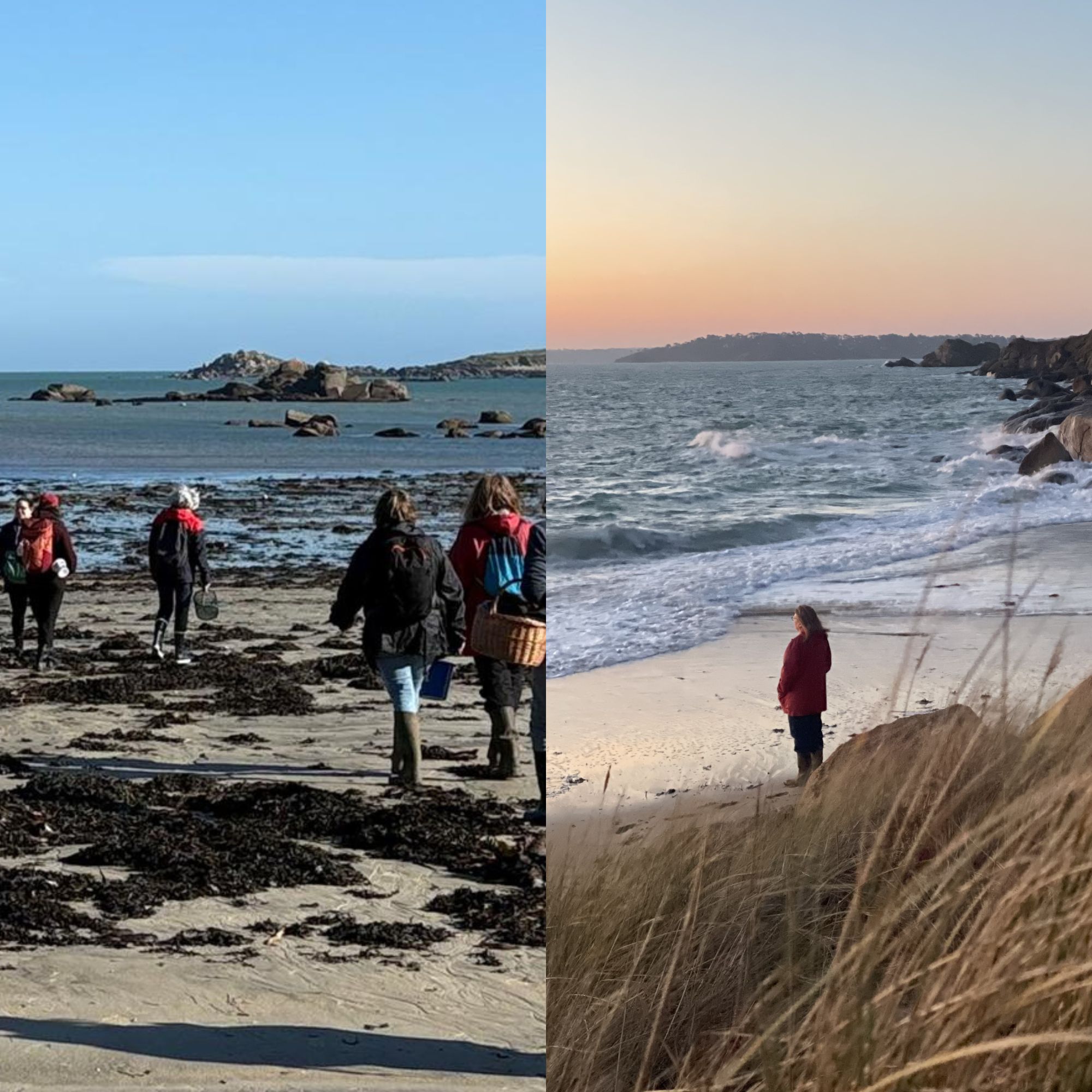 STAGE INSULAIRE EN BRETAGNE NORD